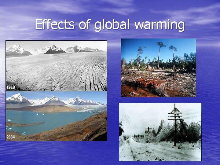 Effects of global warming 
