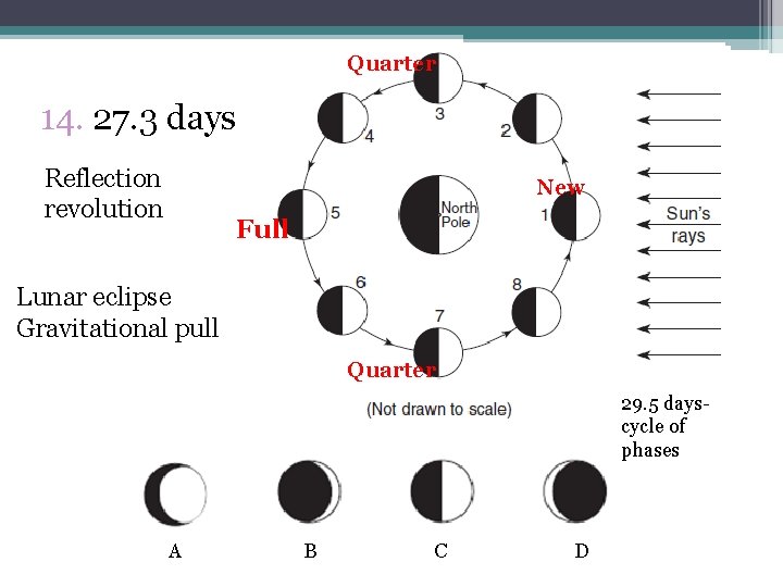 Quarter 14. 27. 3 days Reflection revolution New Full Lunar eclipse Gravitational pull Quarter