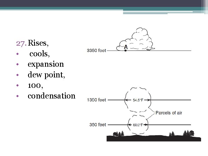 27. Rises, • cools, • expansion • dew point, • 100, • condensation 