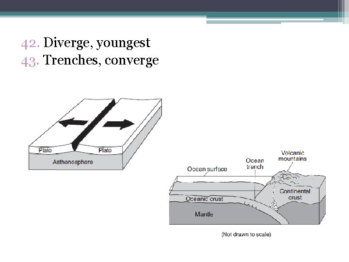 42. Diverge, youngest 43. Trenches, converge 