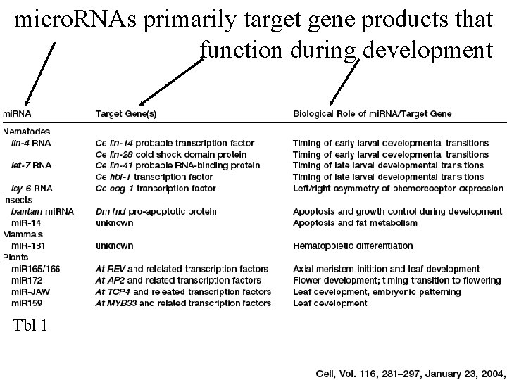 micro. RNAs primarily target gene products that function during development Tbl 1 