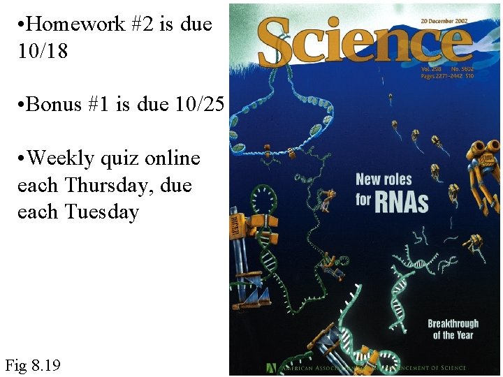  • Homework #2 is due 10/18 • Bonus #1 is due 10/25 •