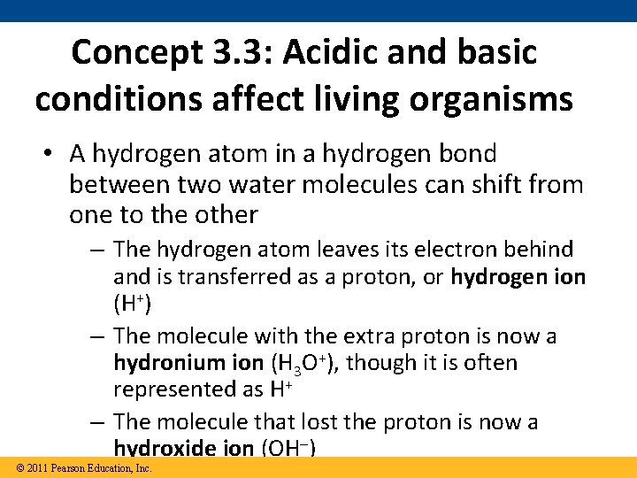 Concept 3. 3: Acidic and basic conditions affect living organisms • A hydrogen atom