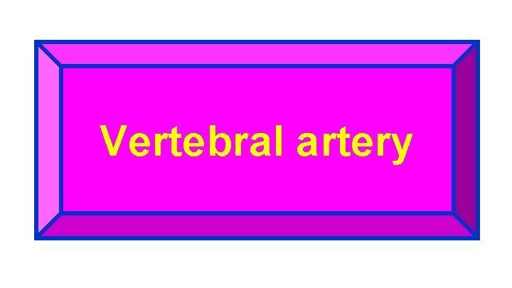 Vertebral artery 