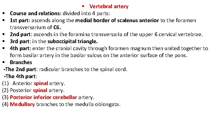  Vertebral artery Course and relations: divided into 4 parts: 1 st part: ascends