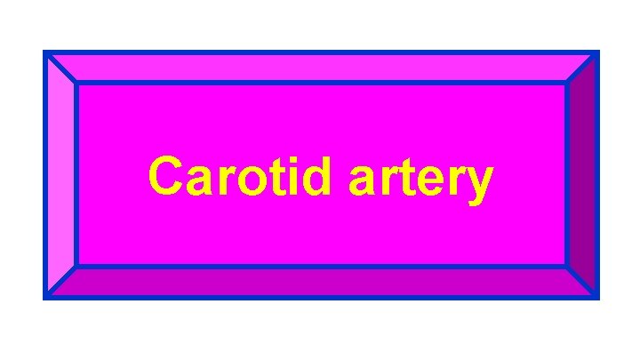 Carotid artery 