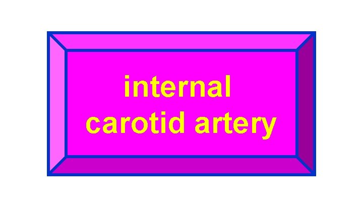 internal carotid artery 