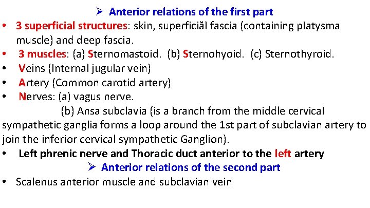Ø Anterior relations of the first part • 3 superficial structures: skin, superficiăl fascia