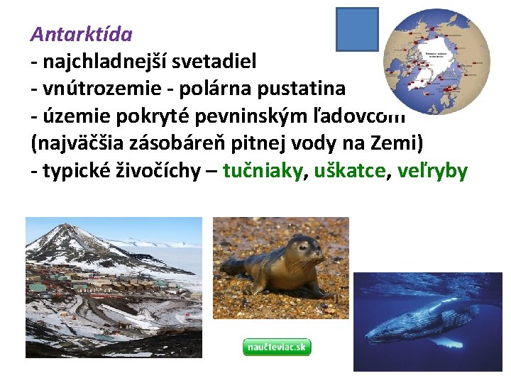 Antarktída - najchladnejší svetadiel - vnútrozemie - polárna pustatina - územie pokryté pevninským ľadovcom