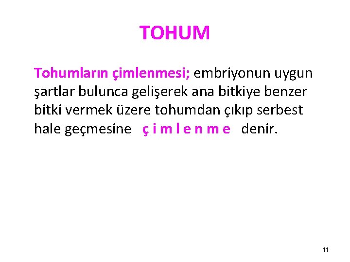 TOHUM Tohumların çimlenmesi; embriyonun uygun şartlar bulunca gelişerek ana bitkiye benzer bitki vermek üzere