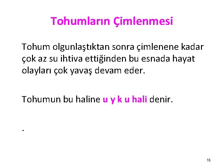 Tohumların Çimlenmesi Tohum olgunlaştıktan sonra çimlenene kadar çok az su ihtiva ettiğinden bu esnada