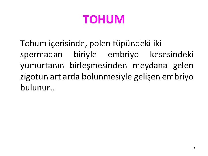 TOHUM Tohum içerisinde, polen tüpündeki iki spermadan biriyle embriyo kesesindeki yumurtanın birleşmesinden meydana gelen