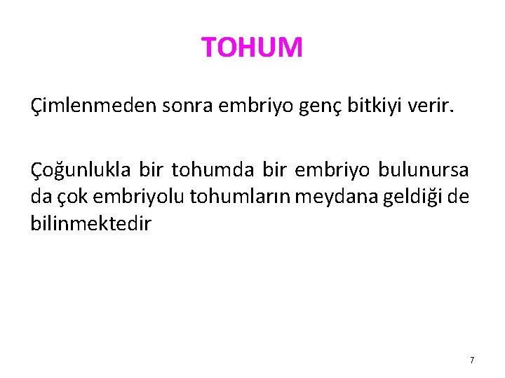 TOHUM Çimlenmeden sonra embriyo genç bitkiyi verir. Çoğunlukla bir tohumda bir embriyo bulunursa da