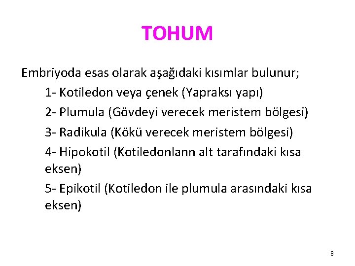 TOHUM Embriyoda esas olarak aşağıdaki kısımlar bulunur; 1 - Kotiledon veya çenek (Yapraksı yapı)