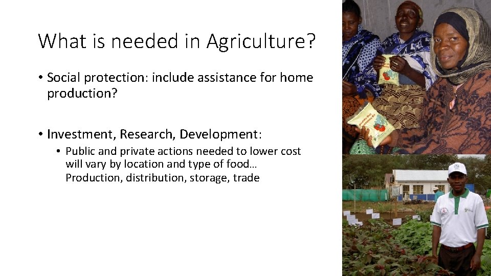 What is needed in Agriculture? • Social protection: include assistance for home production? •