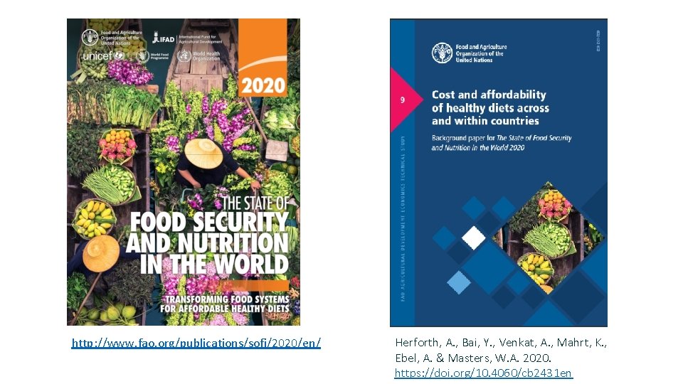 http: //www. fao. org/publications/sofi/2020/en/ Herforth, A. , Bai, Y. , Venkat, A. , Mahrt,
