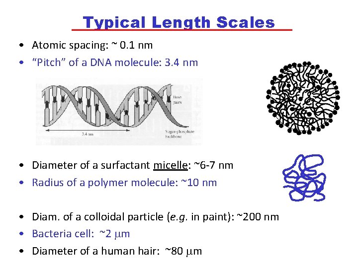 Typical Length Scales • Atomic spacing: ~ 0. 1 nm • “Pitch” of a
