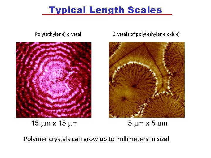 Typical Length Scales Poly(ethylene) crystal 15 mm x 15 mm Crystals of poly(ethylene oxide)