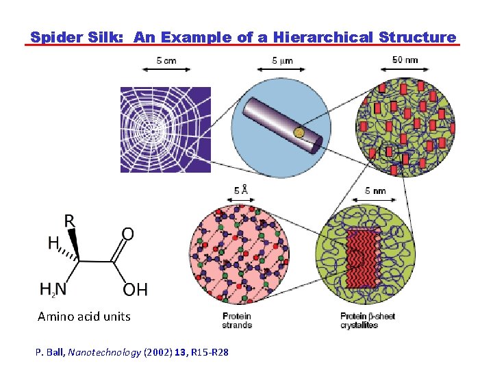 Spider Silk: An Example of a Hierarchical Structure Amino acid units P. Ball, Nanotechnology