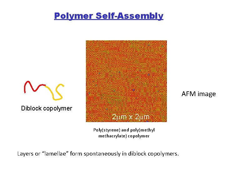 Polymer Self-Assembly AFM image Diblock copolymer 2 mm x 2 mm Poly(styrene) and poly(methyl