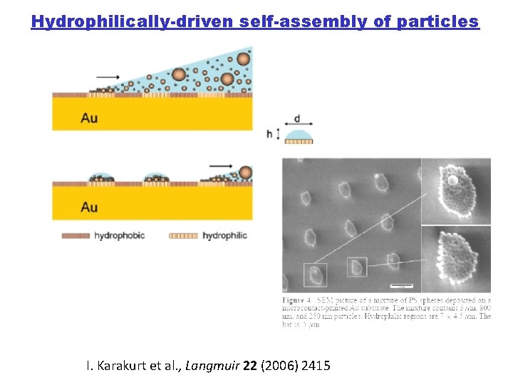 Hydrophilically-driven self-assembly of particles I. Karakurt et al. , Langmuir 22 (2006) 2415 