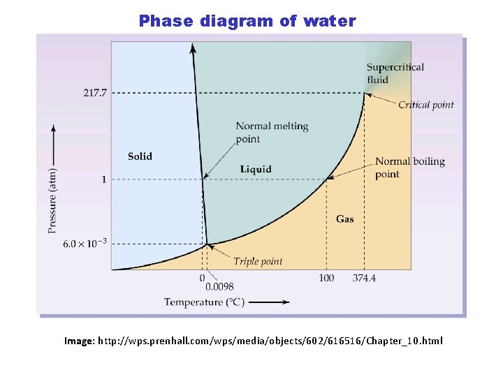 Phase diagram of water Image: http: //wps. prenhall. com/wps/media/objects/602/616516/Chapter_10. html 