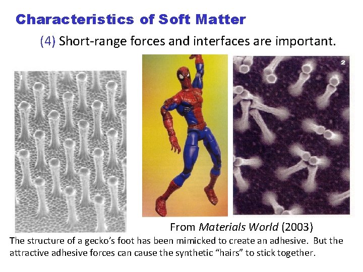 Characteristics of Soft Matter (4) Short-range forces and interfaces are important. From Materials World