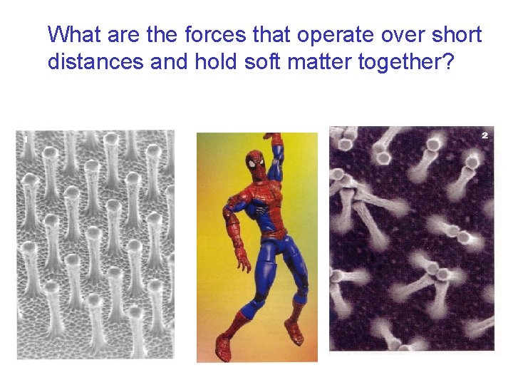 What are the forces that operate over short distances and hold soft matter together?