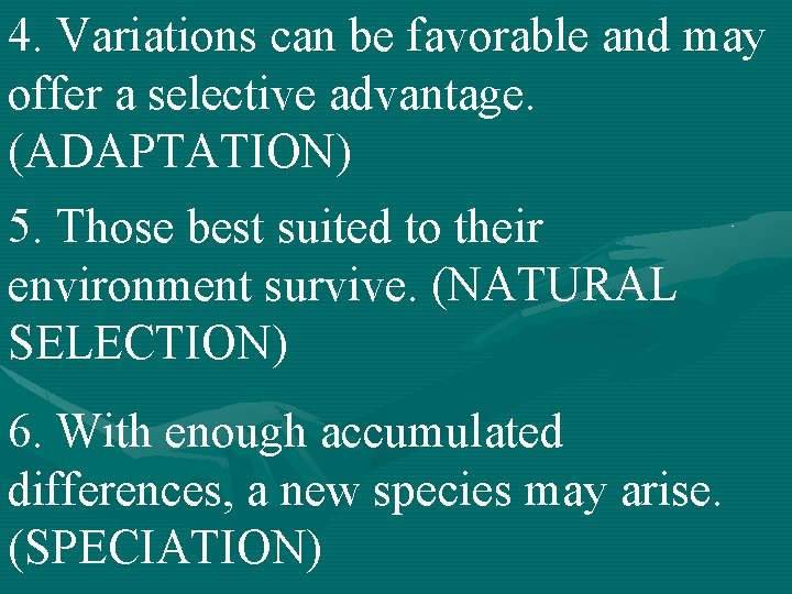 4. Variations can be favorable and may offer a selective advantage. (ADAPTATION) 5. Those