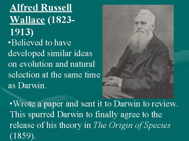 Alfred Russell Wallace (18231913) • Believed to have developed similar ideas on evolution and