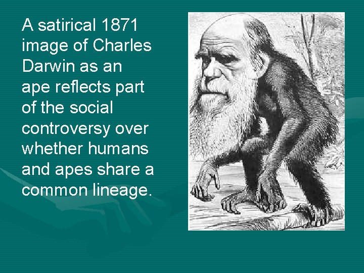 A satirical 1871 image of Charles Darwin as an ape reflects part of the