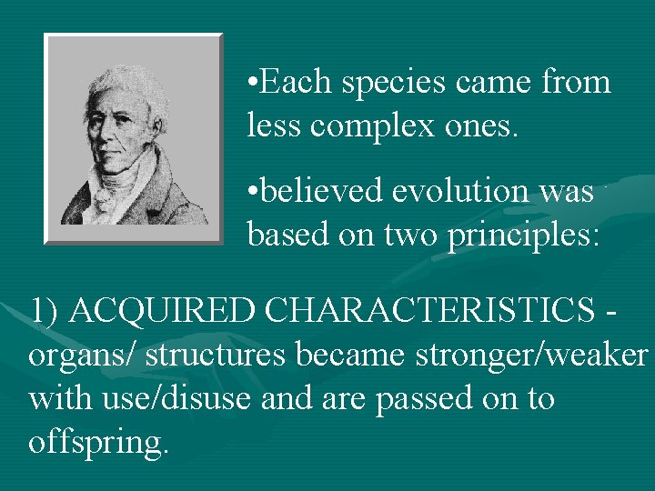  • Each species came from less complex ones. • believed evolution was based