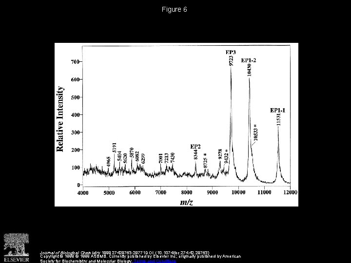 Figure 6 Journal of Biological Chemistry 1999 27429763 -29771 DOI: (10. 1074/jbc. 274. 42.