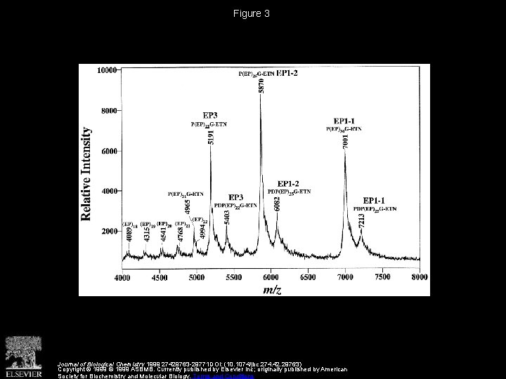 Figure 3 Journal of Biological Chemistry 1999 27429763 -29771 DOI: (10. 1074/jbc. 274. 42.