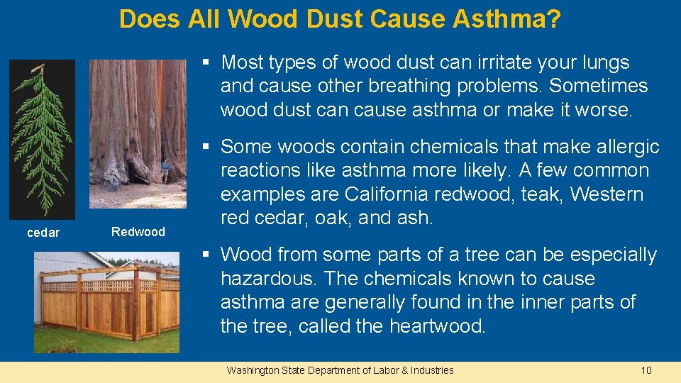 Does All Wood Dust Cause Asthma? § Most types of wood dust can irritate