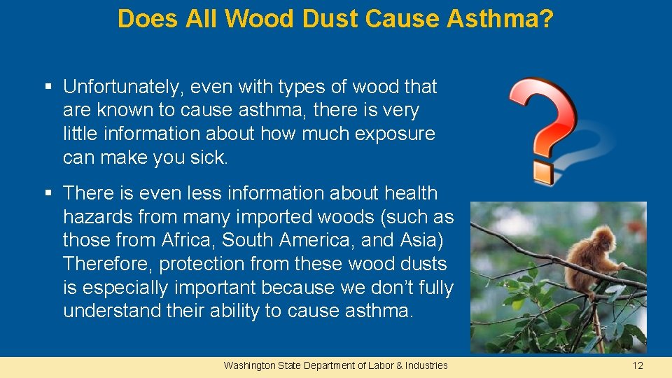 Does All Wood Dust Cause Asthma? § Unfortunately, even with types of wood that