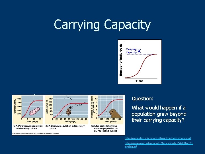 Carrying Capacity n The maximum population that can be supported by an environment Question:
