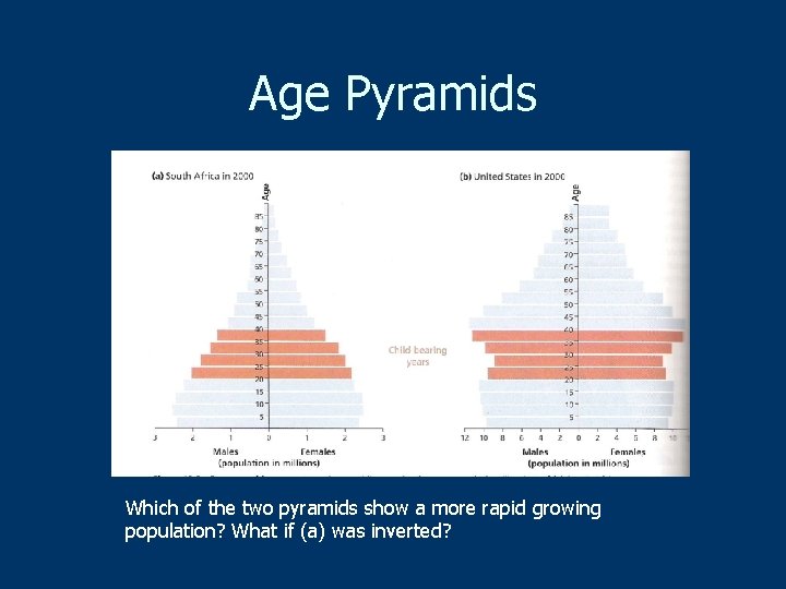 Age Pyramids Which of the two pyramids show a more rapid growing population? What