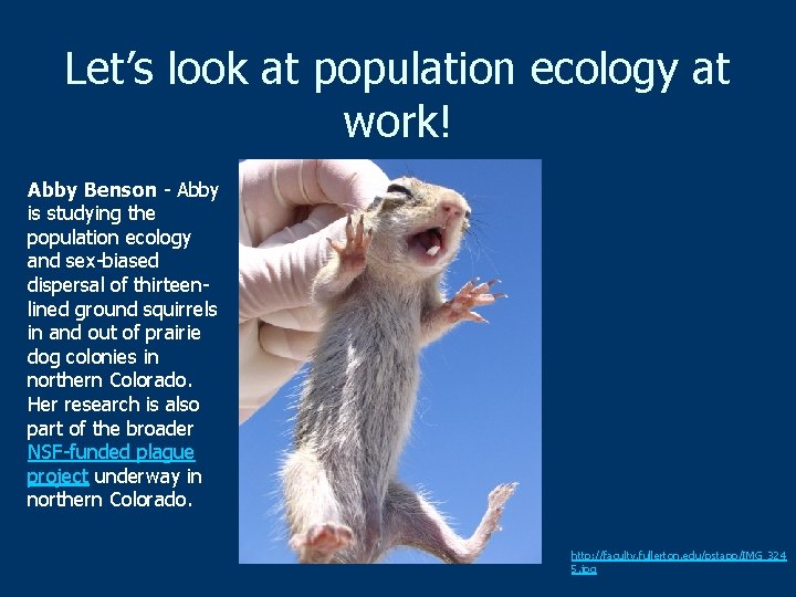 Let’s look at population ecology at work! Abby Benson - Abby is studying the