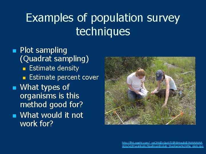 Examples of population survey techniques n Plot sampling (Quadrat sampling) n n Estimate density