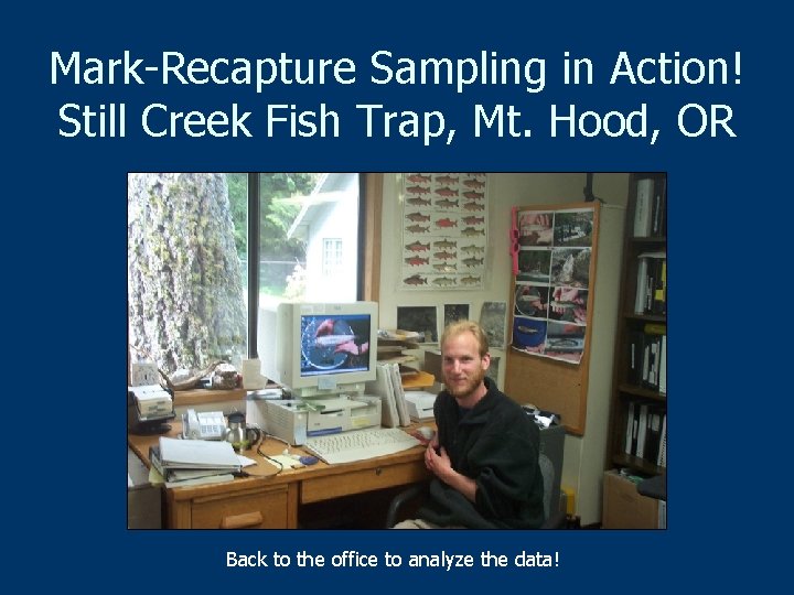 Mark-Recapture Sampling in Action! Still Creek Fish Trap, Mt. Hood, OR Back to the