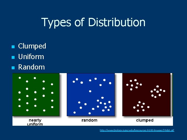 Types of Distribution n Clumped Uniform Random http: //www. biology. iupui. edu/biocourses/n 100/images/39 dist.