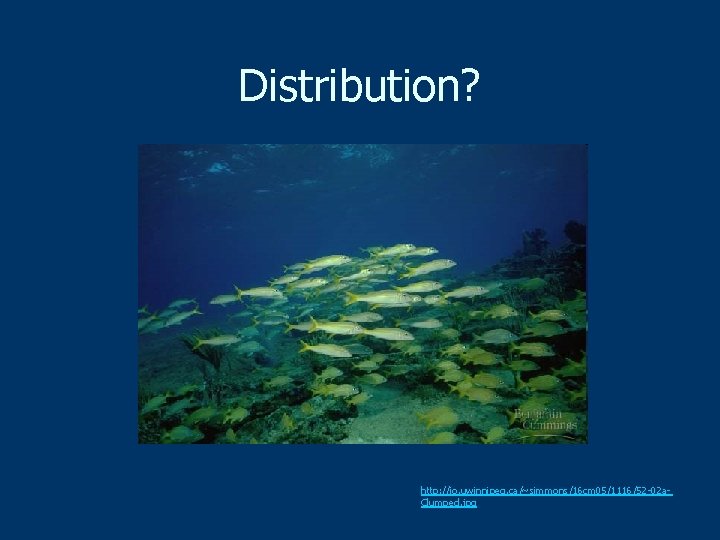 Distribution? http: //io. uwinnipeg. ca/~simmons/16 cm 05/1116/52 -02 a. Clumped. jpg 