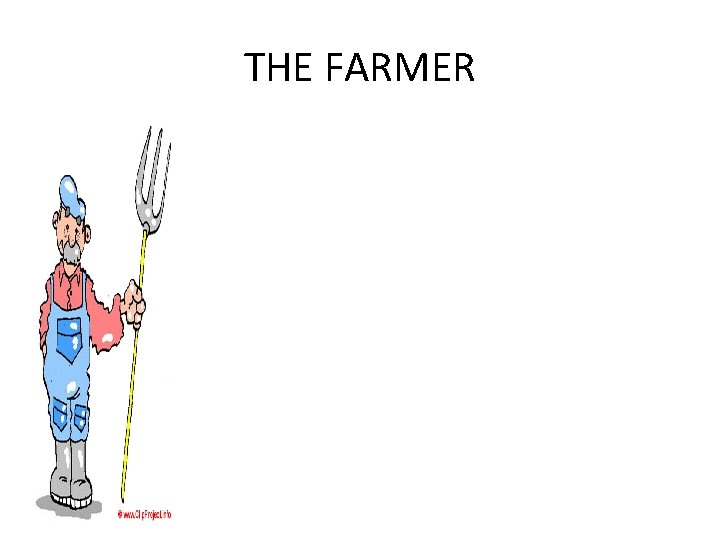 THE FARMER 