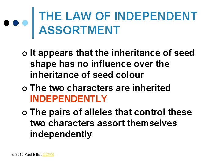 THE LAW OF INDEPENDENT ASSORTMENT It appears that the inheritance of seed shape has