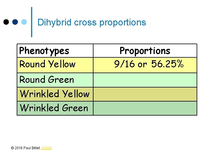 Dihybrid cross proportions Phenotypes Round Yellow Round Green Wrinkled Yellow Wrinkled Green © 2016