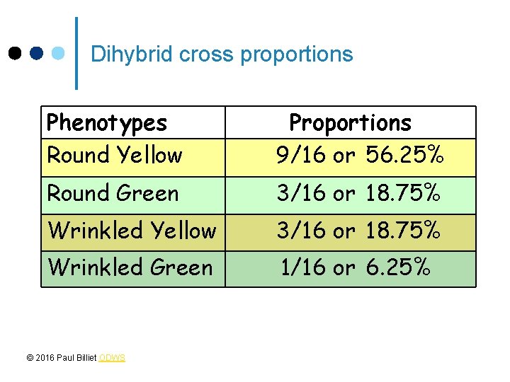 Dihybrid cross proportions Phenotypes Round Yellow Proportions 9/16 or 56. 25% Round Green 3/16