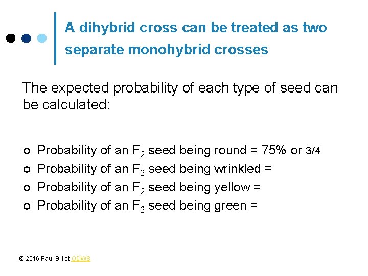 A dihybrid cross can be treated as two separate monohybrid crosses The expected probability