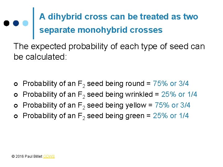 A dihybrid cross can be treated as two separate monohybrid crosses The expected probability