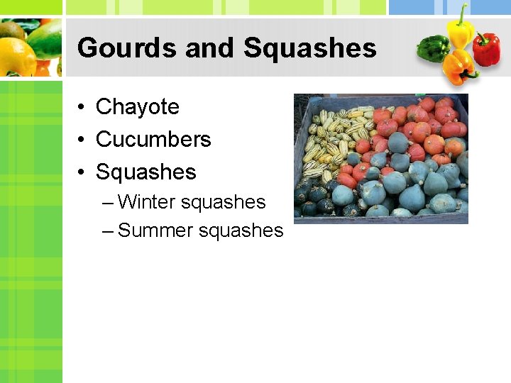 Gourds and Squashes • Chayote • Cucumbers • Squashes – Winter squashes – Summer